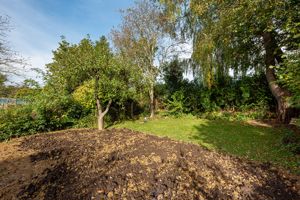 Rear Garden- click for photo gallery